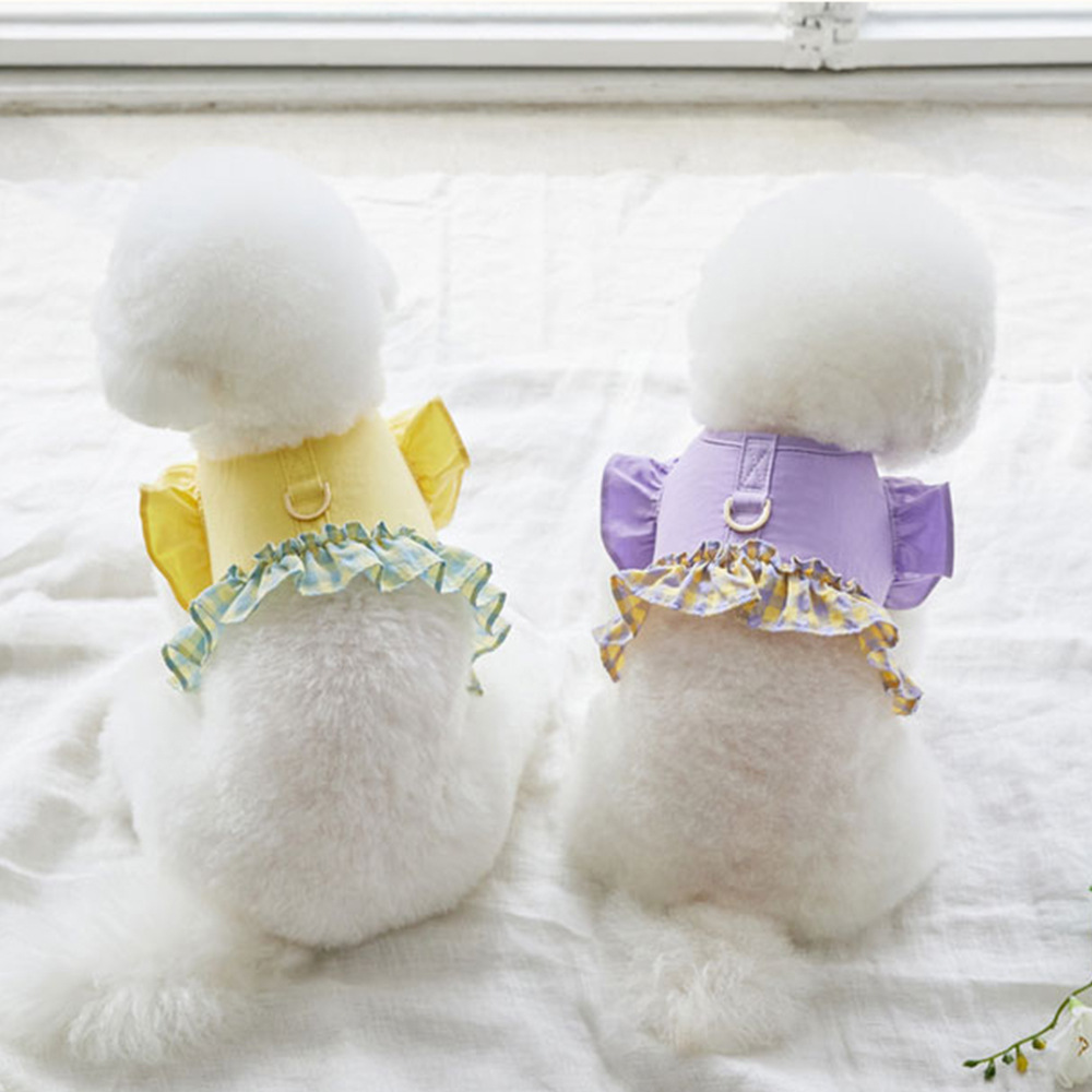 Tali Kekang Anjing Warna Kontr - Lace Teddy Lingerie ulasan dan harga